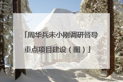 周华兵未小刚调研督导重点项目建设（图）