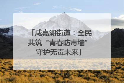 咸嘉湖街道：全民共筑“青春防毒墙” 守护无毒未来