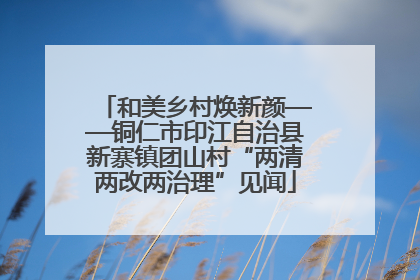 和美乡村焕新颜——铜仁市印江自治县新寨镇团山村“两清两改两治理”见闻