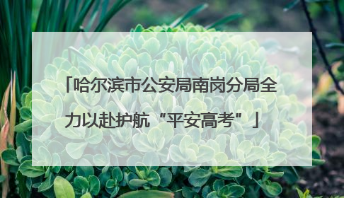 哈尔滨市公安局南岗分局全力以赴护航“平安高考”