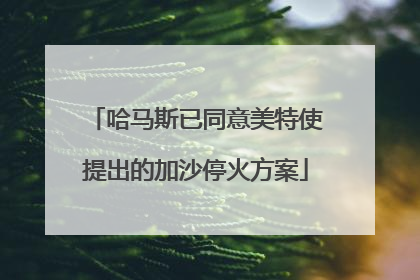 哈马斯已同意美特使提出的加沙停火方案