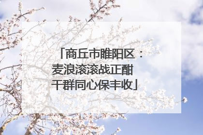 商丘市睢阳区：麦浪滚滚战正酣 干群同心保丰收
