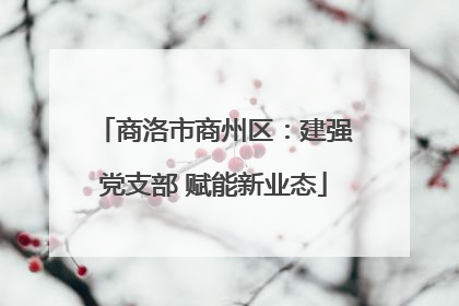 商洛市商州区：建强党支部 赋能新业态