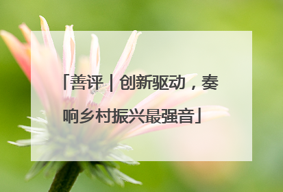善评｜创新驱动，奏响乡村振兴最强音