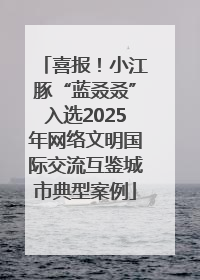 喜报！小江豚“蓝叒叒”入选2025年网络文明国际交流互鉴城市典型案例