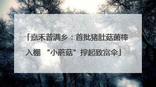 嘉禾普满乡：首批猪肚菇菌棒入棚 “小蘑菇”撑起致富伞