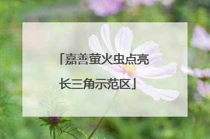 嘉善萤火虫点亮长三角示范区