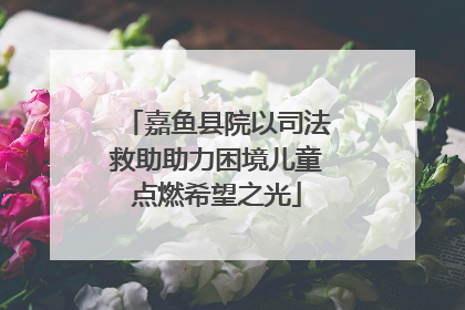 嘉鱼县院以司法救助助力困境儿童点燃希望之光