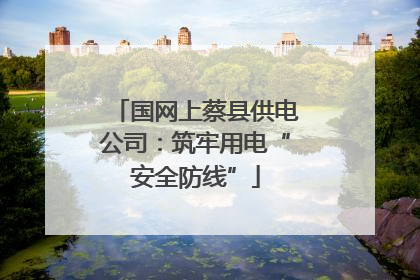 国网上蔡县供电公司：筑牢用电“安全防线”