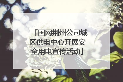 国网荆州公司城区供电中心开展安全用电宣传活动