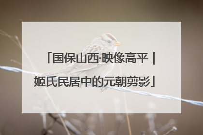 国保山西·映像高平｜姬氏民居中的元朝剪影