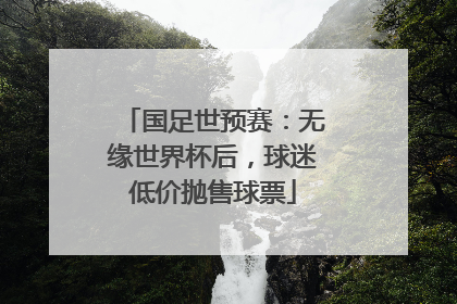 国足世预赛：无缘世界杯后，球迷低价抛售球票