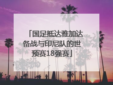 国足抵达雅加达备战与印尼队的世预赛18强赛