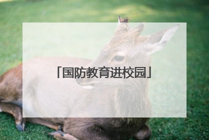 国防教育进校园