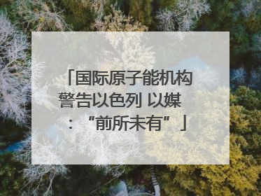国际原子能机构警告以色列 以媒：“前所未有”