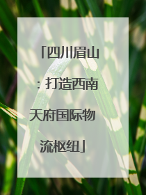 四川眉山：打造西南天府国际物流枢纽