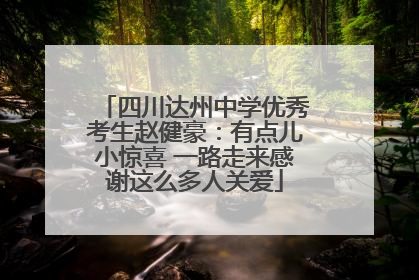 四川达州中学优秀考生赵健豪：有点儿小惊喜 一路走来感谢这么多人关爱