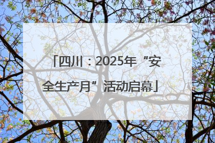 四川：2025年“安全生产月”活动启幕