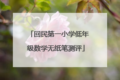 回民第一小学低年级数学无纸笔测评