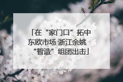 在“家门口”拓中东欧市场 浙江余姚“智造”组团出击