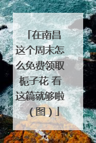 在南昌 这个周末怎么免费领取栀子花 看这篇就够啦（图）
