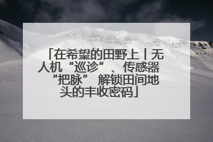 在希望的田野上丨无人机“巡诊”、传感器“把脉” 解锁田间地头的丰收密码