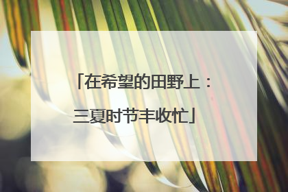 在希望的田野上：三夏时节丰收忙
