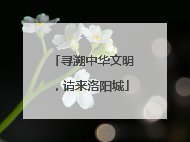 寻溯中华文明，请来洛阳城