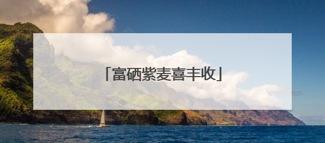 富硒紫麦喜丰收