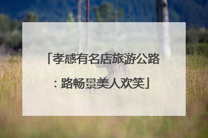 孝感有名店旅游公路：路畅景美人欢笑