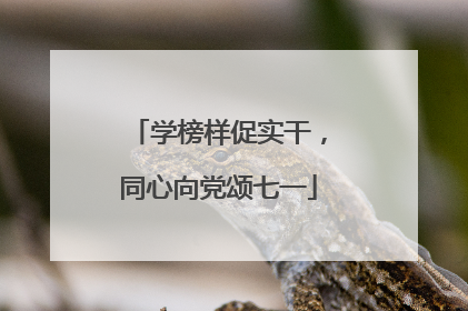 学榜样促实干，同心向党颂七一
