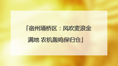 宿州埇桥区：风吹麦浪金满地 农机轰鸣保归仓