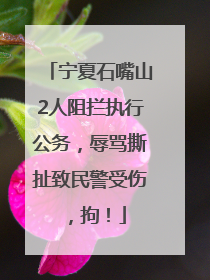 宁夏石嘴山2人阻拦执行公务，辱骂撕扯致民警受伤，拘！