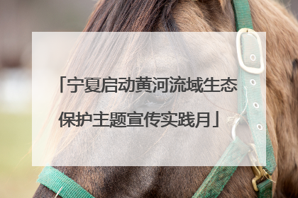 宁夏启动黄河流域生态保护主题宣传实践月