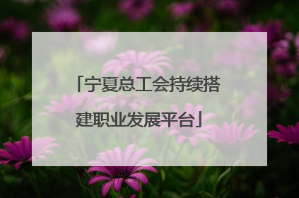 宁夏总工会持续搭建职业发展平台