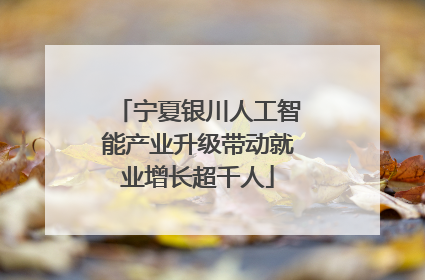 宁夏银川人工智能产业升级带动就业增长超千人