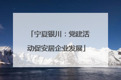 宁夏银川：党建活动促安居企业发展