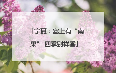宁夏：塞上有“南果” 四季别样香