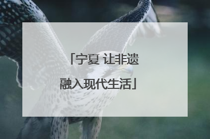 宁夏 让非遗融入现代生活
