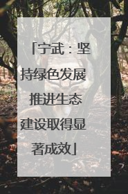 宁武：坚持绿色发展 推进生态建设取得显著成效