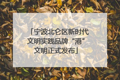 宁波北仑区新时代文明实践品牌“港”文明正式发布