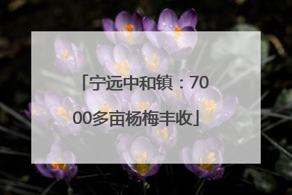 宁远中和镇：7000多亩杨梅丰收