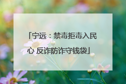 宁远：禁毒拒毒入民心 反诈防诈守钱袋