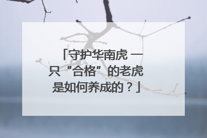 守护华南虎 一只“合格”的老虎是如何养成的？