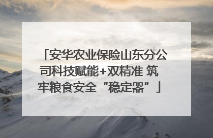 安华农业保险山东分公司科技赋能+双精准 筑牢粮食安全“稳定器”