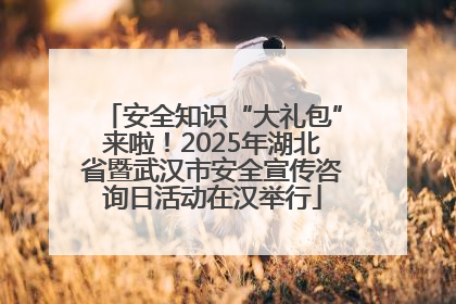 安全知识“大礼包”来啦！2025年湖北省暨武汉市安全宣传咨询日活动在汉举行