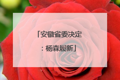安徽省委决定：杨森履新