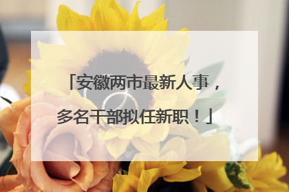 安徽两市最新人事，多名干部拟任新职！