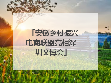 安徽乡村振兴电商联盟亮相深圳文博会