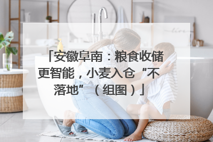 安徽阜南：粮食收储更智能，小麦入仓“不落地”（组图）